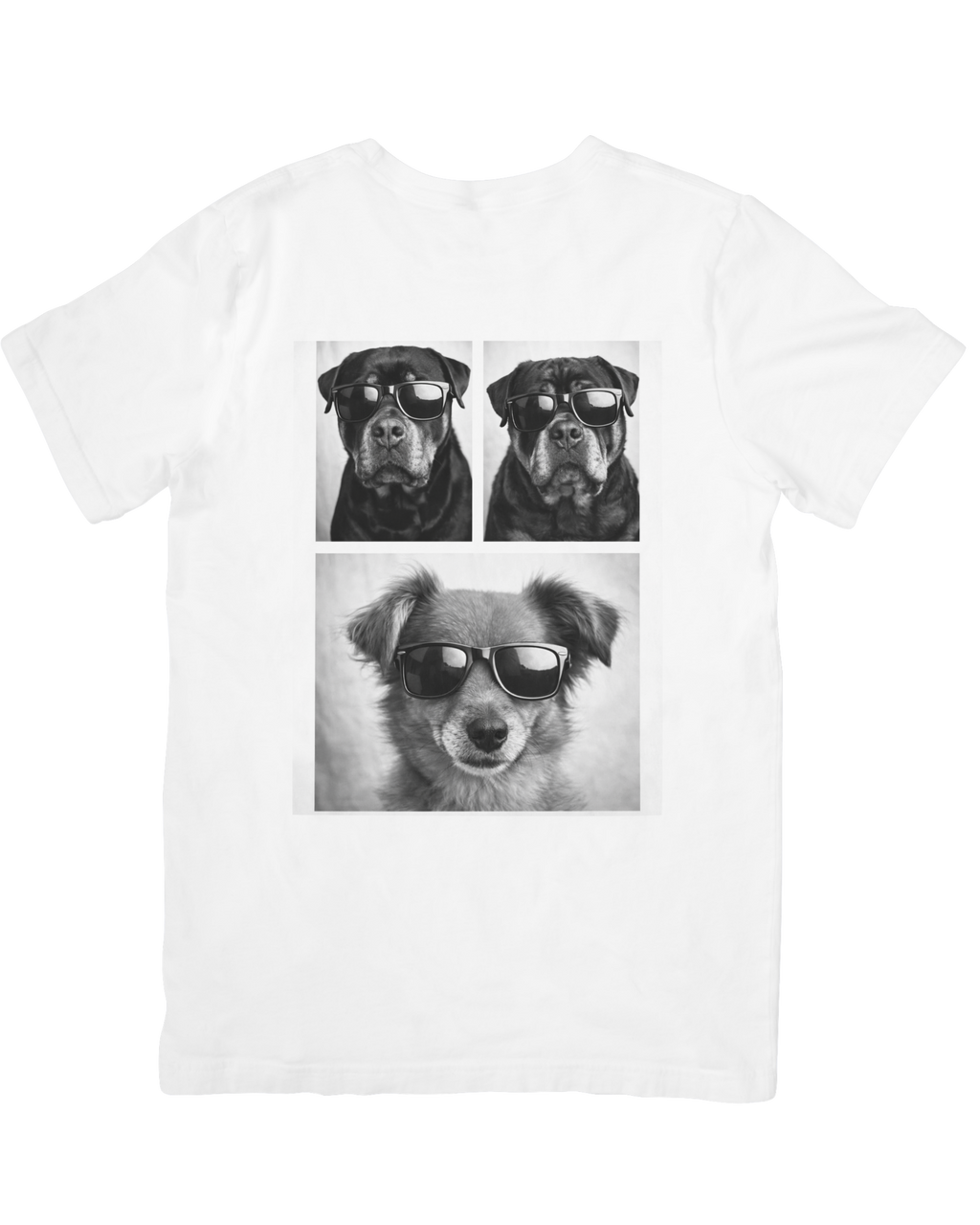 Summer Vibes honden