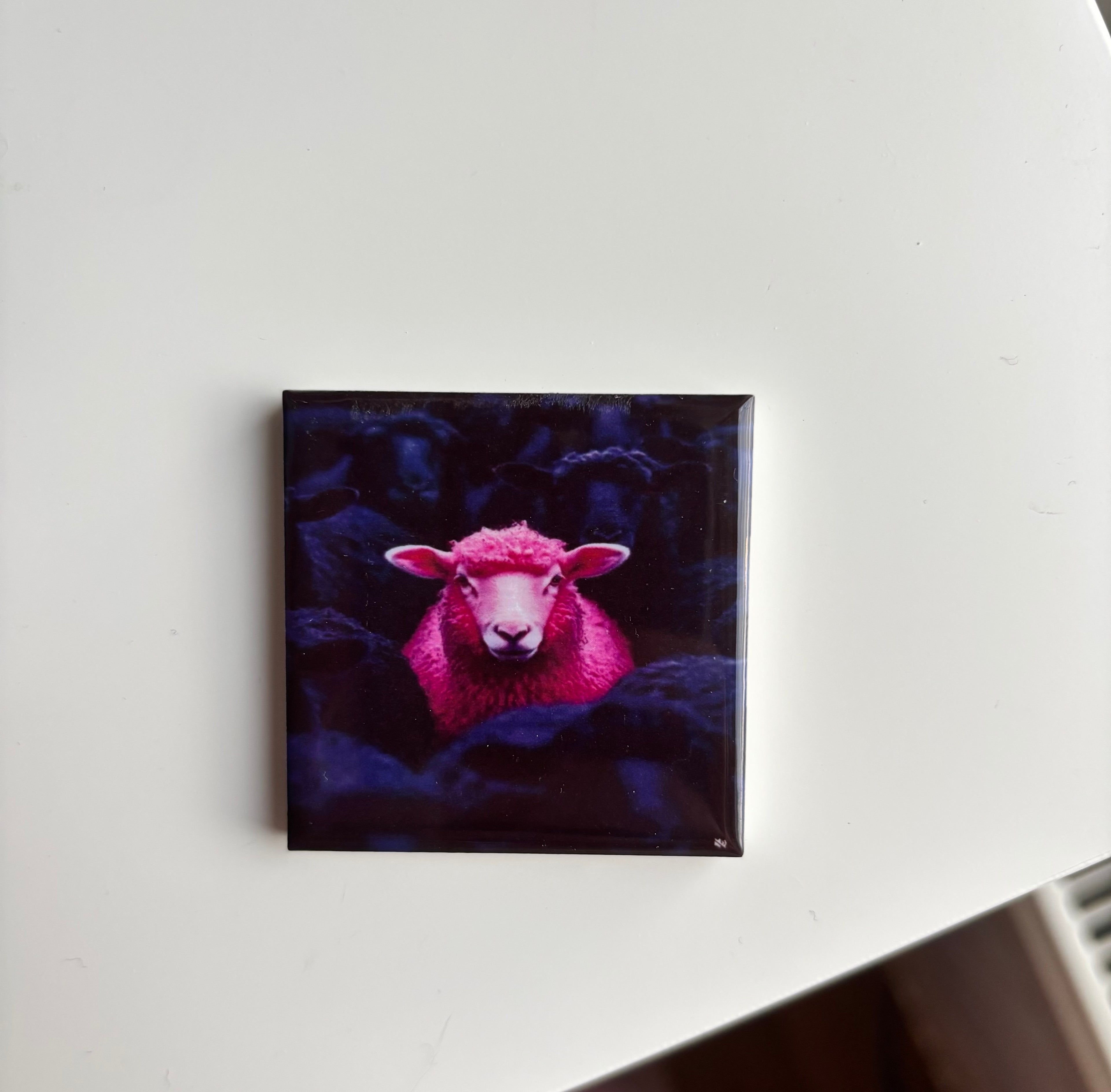 Wees het roze schaap!