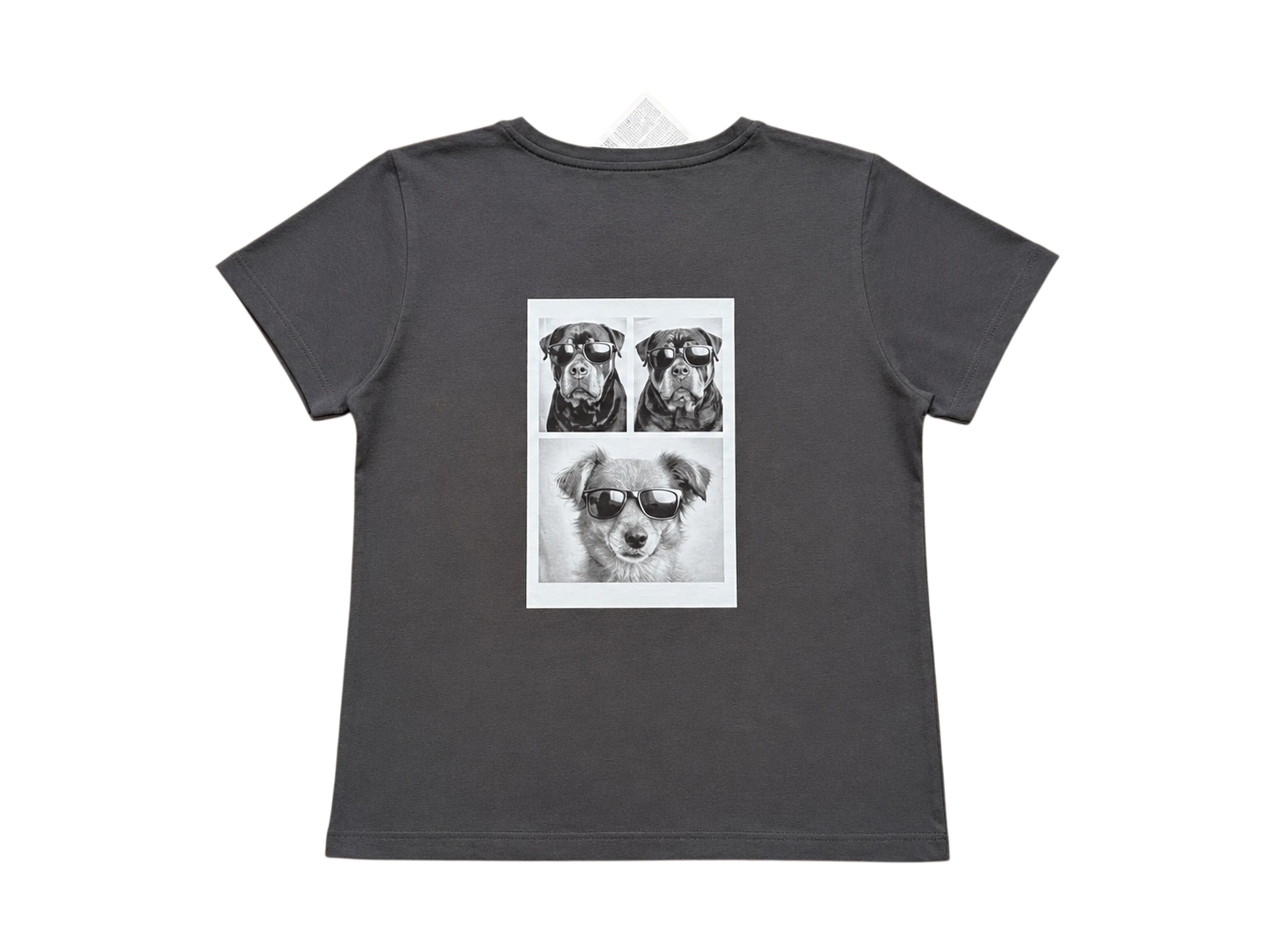 Summer Vibes honden